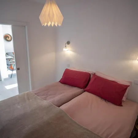 Gato Preto De Silves - Adults Only-3